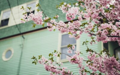 Spring into Home Maintenance: Essential Tips for a Fresh Start